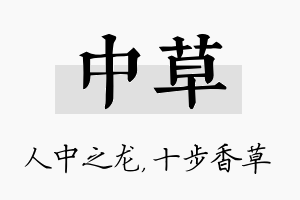 中草名字的寓意及含义