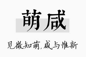 萌咸名字的寓意及含义