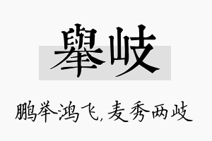 举岐名字的寓意及含义