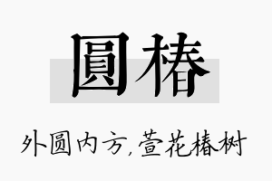 圆椿名字的寓意及含义