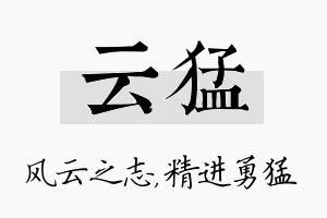 云猛名字的寓意及含义