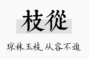 枝从名字的寓意及含义