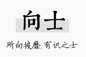 向士名字的寓意及含义