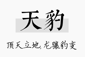 天豹名字的寓意及含义