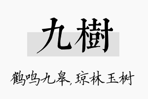 九树名字的寓意及含义