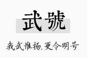 武号名字的寓意及含义