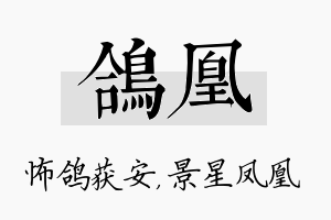 鸽凰名字的寓意及含义