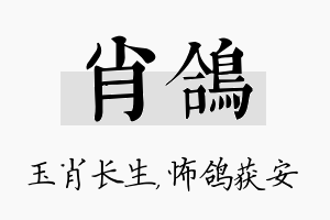 肖鸽名字的寓意及含义