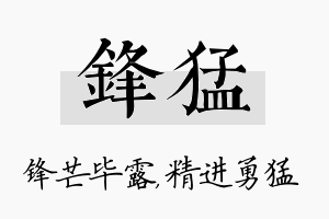 锋猛名字的寓意及含义