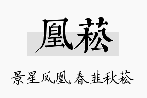 凰菘名字的寓意及含义