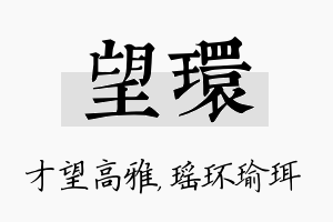 望环名字的寓意及含义