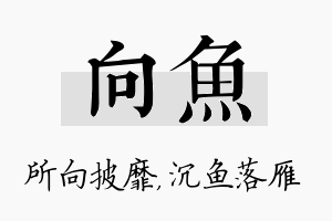 向鱼名字的寓意及含义