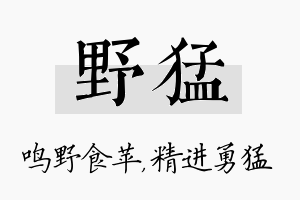 野猛名字的寓意及含义