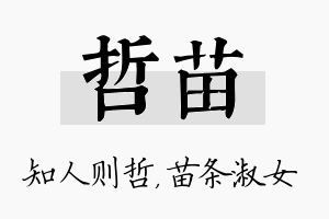 哲苗名字的寓意及含义