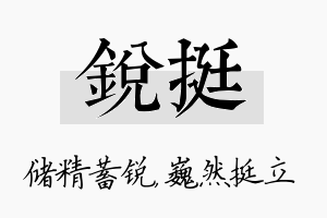 锐挺名字的寓意及含义