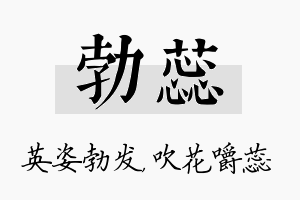 勃蕊名字的寓意及含义