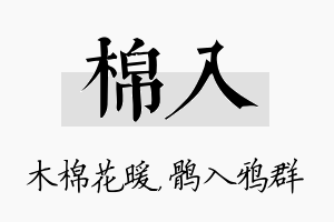 棉入名字的寓意及含义