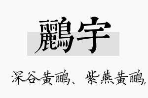 鹂宇名字的寓意及含义