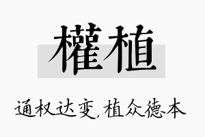 权植名字的寓意及含义