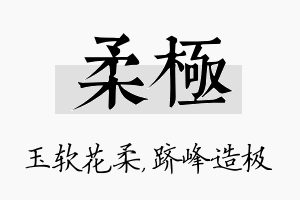 柔极名字的寓意及含义