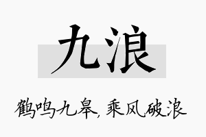 九浪名字的寓意及含义