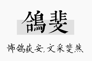 鸽斐名字的寓意及含义