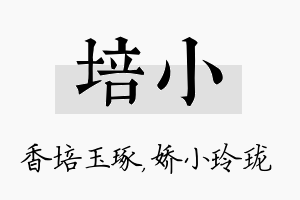 培小名字的寓意及含义