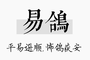 易鸽名字的寓意及含义