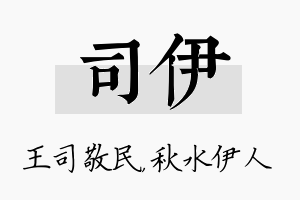 司伊名字的寓意及含义