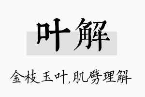 叶解名字的寓意及含义