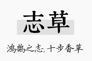 志草名字的寓意及含义