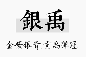 银禹名字的寓意及含义