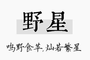 野星名字的寓意及含义