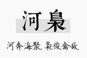 河枭名字的寓意及含义