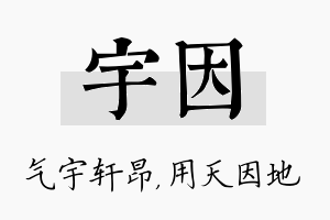 宇因名字的寓意及含义