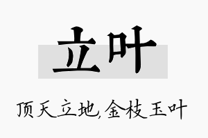 立叶名字的寓意及含义