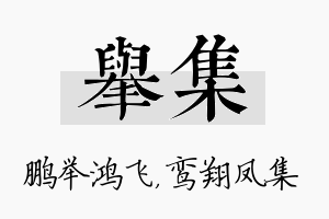 举集名字的寓意及含义