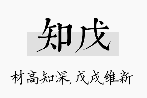 知戊名字的寓意及含义