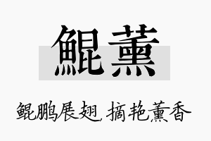 鲲薰名字的寓意及含义