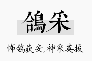 鸽采名字的寓意及含义