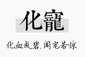 化宠名字的寓意及含义