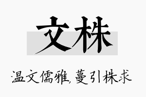 文株名字的寓意及含义