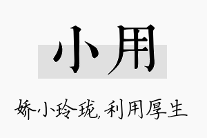 小用名字的寓意及含义