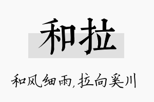 和拉名字的寓意及含义