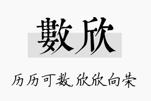 数欣名字的寓意及含义