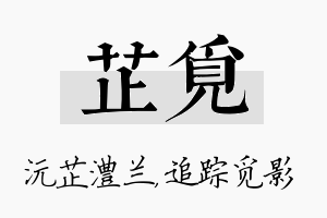 芷觅名字的寓意及含义