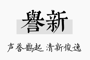 誉新名字的寓意及含义