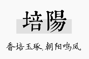 培阳名字的寓意及含义