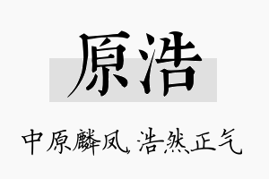 原浩名字的寓意及含义