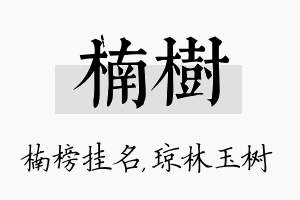 楠树名字的寓意及含义